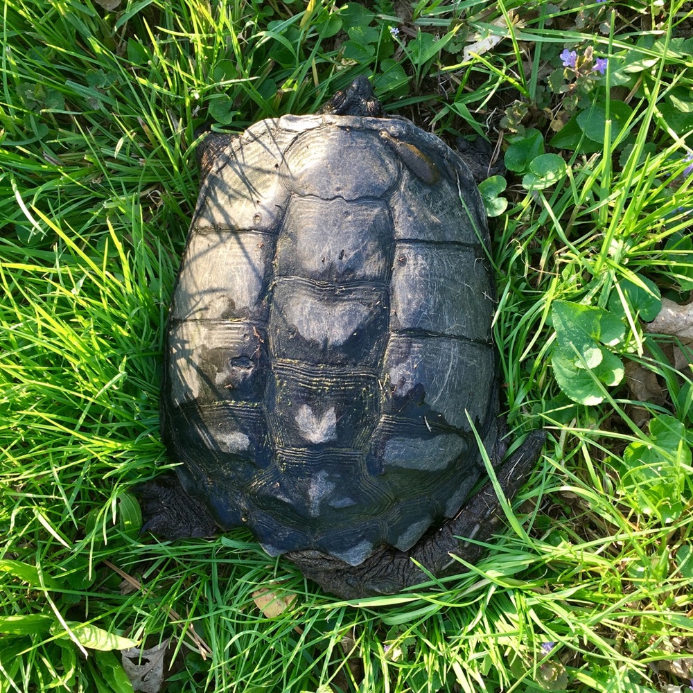 Meet your Posher, Kennedy